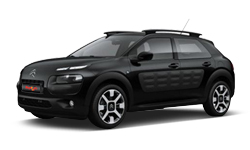 Obsidian Black