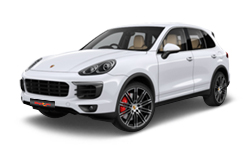 Carrera White