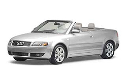 Light Silver(Cabri)