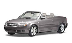 Dolphin Grey(Cabri)