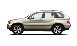 Pearl Beige