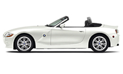 Alpine White