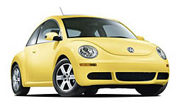 Sunflower Yellow