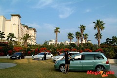12956_1_1.jpg