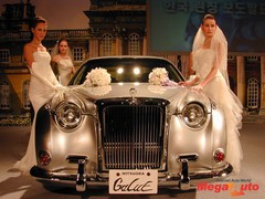 24679_11_1.jpg