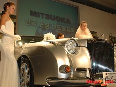 24679_7_1.jpg