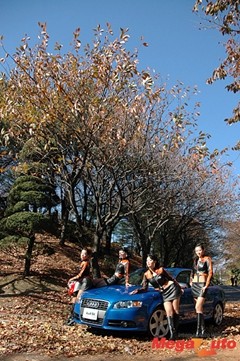 31669_12_1.JPG