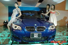 32269_8_1.jpg