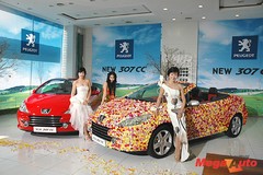 32699_2_1.jpg