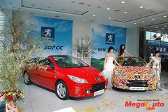 32699_6_1.jpg