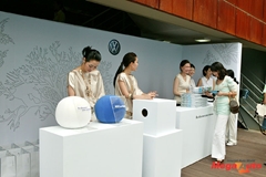39210_4_1.JPG
