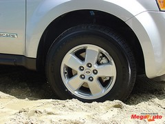 39308_18_1.jpg