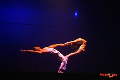 47995_7_1.JPG