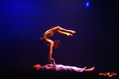 47995_8_1.JPG