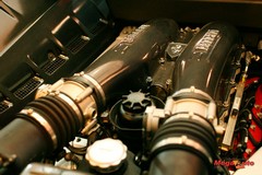 48605_3_1.jpg