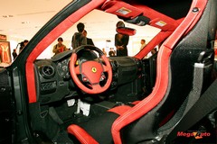 48605_8_1.jpg