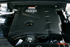 48738_26_1.jpg