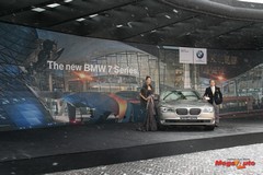 48874_8_1.jpg