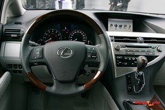 49253_3_1.jpg