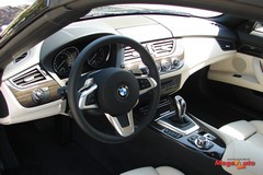 49755_35_1.jpg