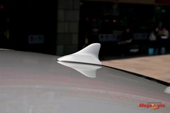 49943_38_1.jpg
