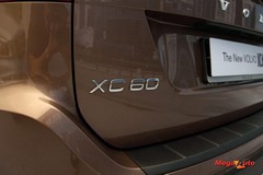 49993_33_1.jpg