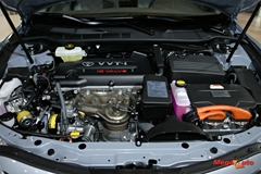 50729_39_1.JPG