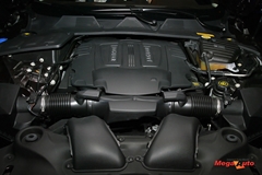 51638_4_1.JPG