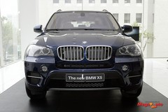 51691_3_1.jpg