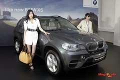51691_55_1.jpg