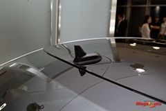 51787_33_1.JPG