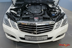 51787_5_1.JPG