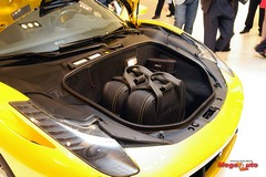 51903_9_1.jpg