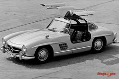51931_6_1.jpg