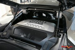 52556_2_1.jpg