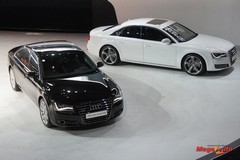 52637_8_1.jpg