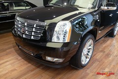 52650_35_1.jpg