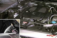 54709_3_1.jpg