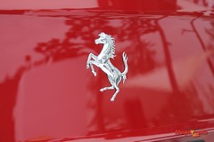 54941_52_1.jpg