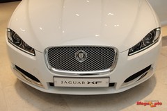 55081_19_1.jpg