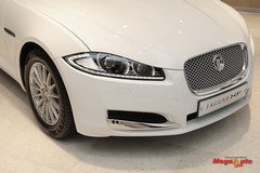 55081_22_1.jpg