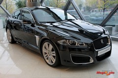 55081_2_1.jpg