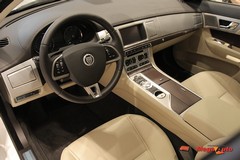 55081_42_1.jpg