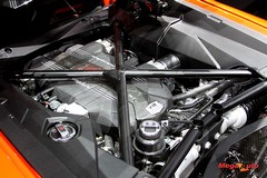 55150_3_1.jpg