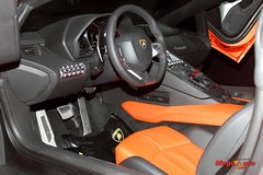 55150_4_1.jpg