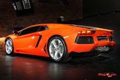 55150_5_1.jpg