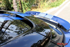 55168_25_1.jpg