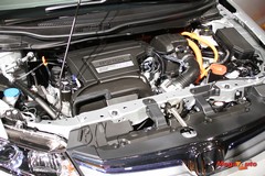55178_48_1.jpg