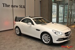55505_11_1.jpg