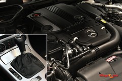 55505_2_1.jpg
